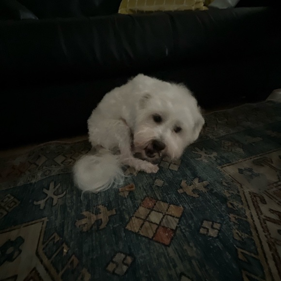 angelarosale119